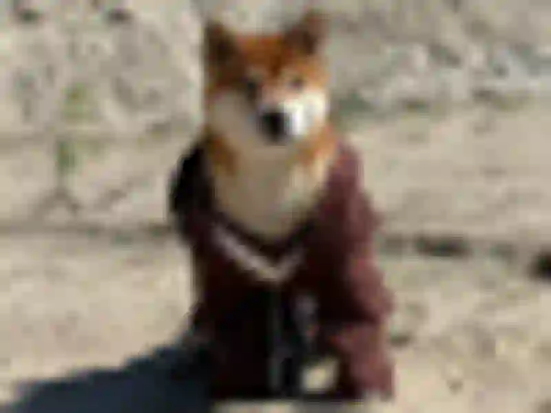 Dizhen "Cooper" Dogsmith